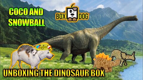 The Dinosaur Box from BoxDog! Unboxing and Play!