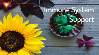Immune System Boost Supportive Energetic/Frequency Healing Meditation Music