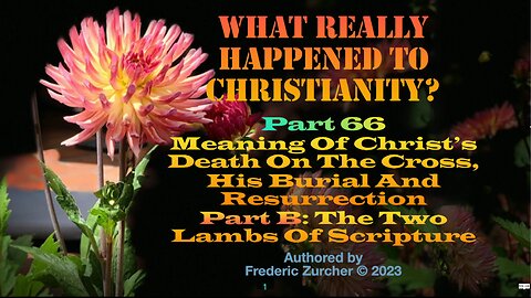 Fred Zurcher on What Really Happened to Christianity pt66