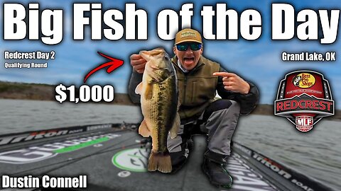 $1,000 Big Fish - MLF 2022 REDCREST - Qualifying Day 2