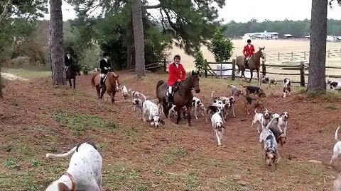 Moore County Hounds