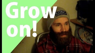 growing a beard - vlog 35 The journey towards epic beardedness continues