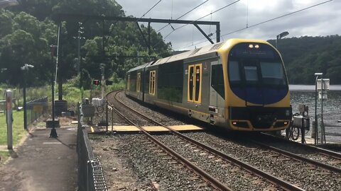 NSW trains vlogs 18 wondabyne