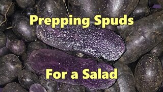 Purple Congo Potato Salad - Supporters Clip from Sept 2016