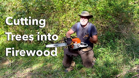 Cutting Firewood on a Hill