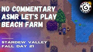 Stardew Valley No Commentary - Family Friendly Lets Play on Nintendo Switch - Fall Day 21