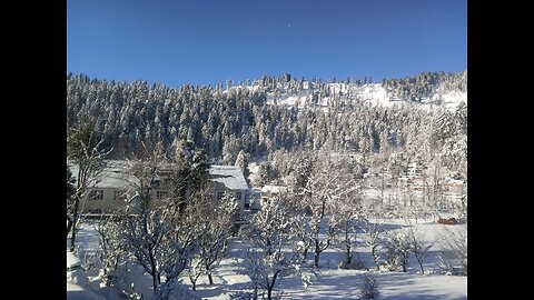 Fresh snowfall at kashmir ❄️ | live snowfall