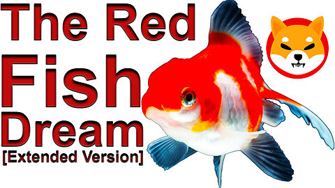 Wealth Transfer - Shiba Inu - The Red Fish Dream