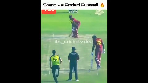 Mitchell Starc Brilliant Yorkers wow #2022 #Ipl #cricketlover #foryou #cricket2022