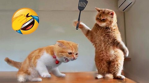 "New Funny Animals 😂 Funniest Cats and Dogs Videos 😺🐶