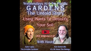 Using Plants To Detoxify Your Soil