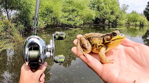 Fishing Frenzy: Frog Lures - A Riveting Underwater Experience!