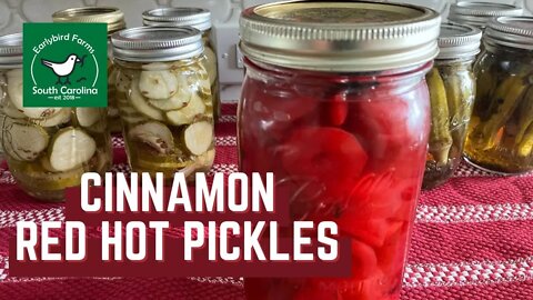 Trying Cinnamon Red Hot Pickles for the FIRST TIME!