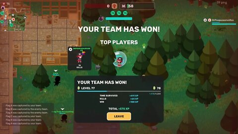 Comeback Win with Medic | Super Animal Royale