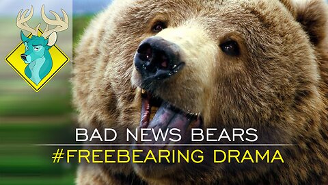TL;DR - Bad News Bears The Free Bearing Drama [6/Dec/16]