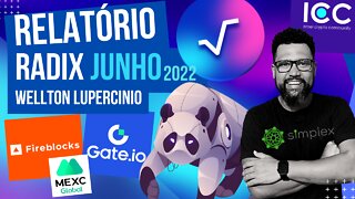 RELATÓRIO RADIX DLT - JUNHO 2022 (Resumo)