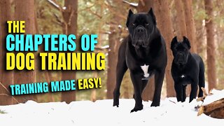 The Chapters of Dog Training - Training Made Easy CANE CORSO