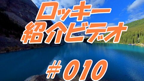 ロッキー紹介ビデオ ＃010