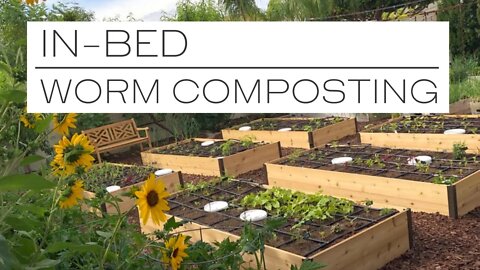 VERMICOMPOSTING the EASY way with IN-BED WORM COMPOSTING