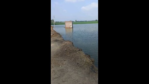 Flood in agriculture land
