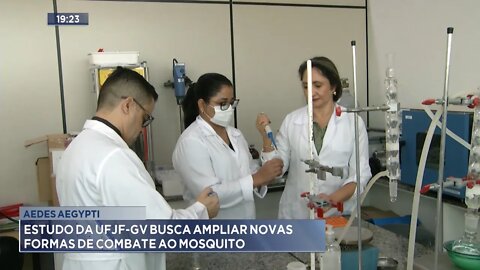 Aedes Aegypti: Estudo da UFJF-GV busca ampliar novas formas de combate ao mosquito.