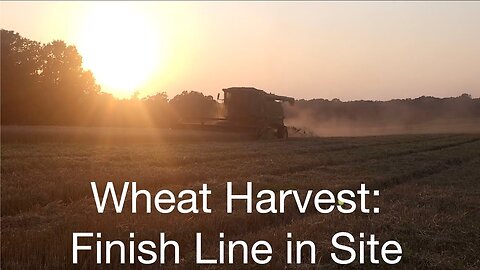 Wheat Harvest: Finish Line in Site