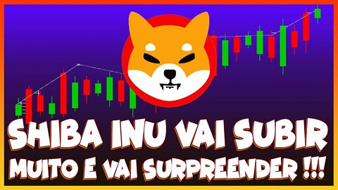 SHIBA INU VAI SUBIR MUITO E VAI SURPREENDER !!!