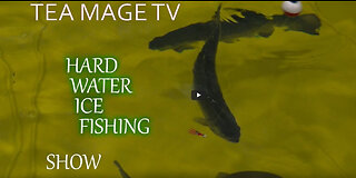 TEA MAGE TV - Hard Water Show 2021