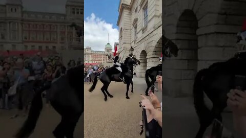 The Queen's Guards Horse Rears Up. Guard Brings Him Back Under Control. June 2022