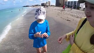 TheFamilyDoes Venice Beach, Florida