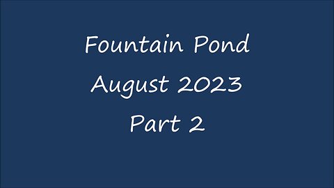 Fountain Pond - August 2023 - Part 2