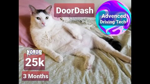 DoorDash 25k in 3 months