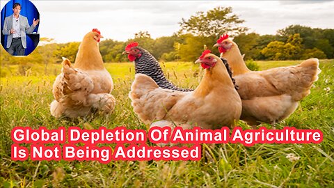How Global Depletion By Way Of Animal Agriculture Is Not Being Addressed