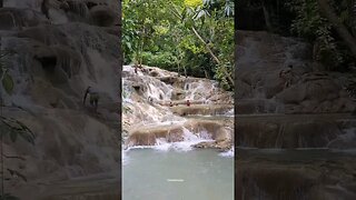 Dunn's River Falls #shortsvideo #shortsfeed #nature #jamaica #dunnsriverfalls #shortviral #shorts