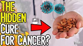 HIDDEN CURE For Cancer? - What Big Pharma DOESN'T WANT You To Know About Apricot Seeds