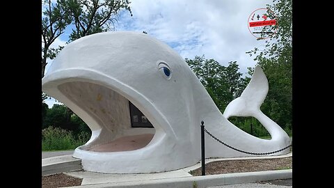 Further Exploring Foster Park, The Infamous Great White Whale - Kokoma Indiana Great Places to Visit