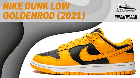Nike Dunk Low Championship Goldenrod (2021) - DD1391-004 - @SneakersADM