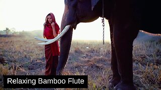 Relaxing Bamboo Flute Music, Positive Energy Vibration, Cleanse Negative Energy, Healing Music,