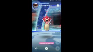 Veja a minha live de Pokémon GO