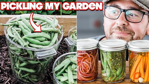 I Can't Believe My Garden Had This MANY Vegetables to Pickle Already