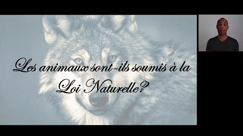 Les animaux sont-ils soumis à la Loi naturelle ?