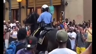 Police Horse Breaks Into Dance On Bourbon Street - HaloRock