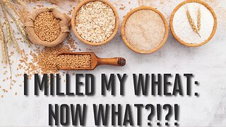 Common Freshly Milled FLOUR Questions Answered | What do I do with Freshly Milled Flour?