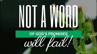 Not a Word of God’s Promises will fail !