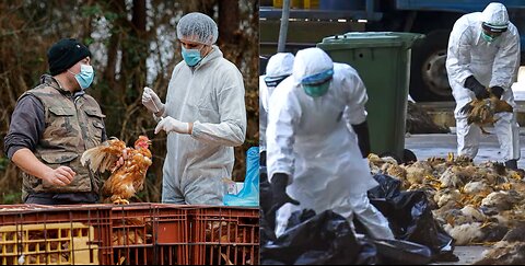 CDC WARNINGS OVER "SYMPTOMLESS" BIRD FLU*PREPARING FOR THE NEXT PANDEMIC?*