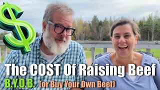 The COST of Raising Your Own BEEF | 2021 Big Family Homestead