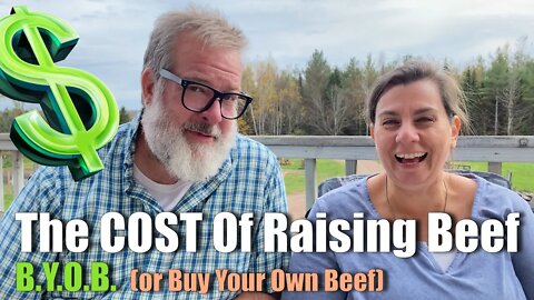 The COST of Raising Your Own BEEF | 2021 Big Family Homestead