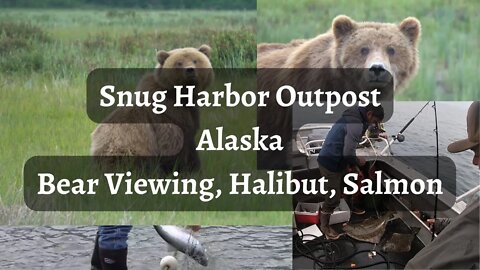 Snug Harbor Outpost | Bear Viewing | Halibut Fishing | Salmon Fishing | Alaska