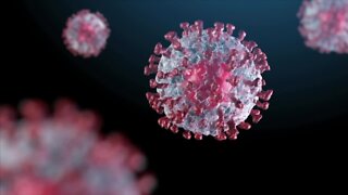 Florida coronavirus deaths pass 70,000