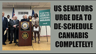 Legalization Battle in DC Gets US Senators Support vs. DEA! Texas AG Sues 5 Cities local Weed Policy